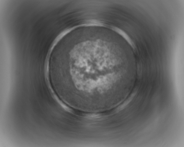 X0000113921387200910011503