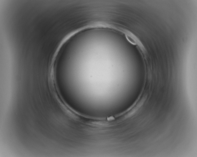 X0000113921388200910011503