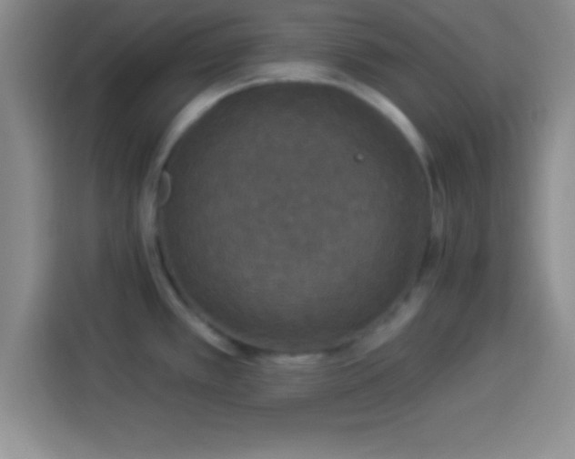 X0000113921389200910011503