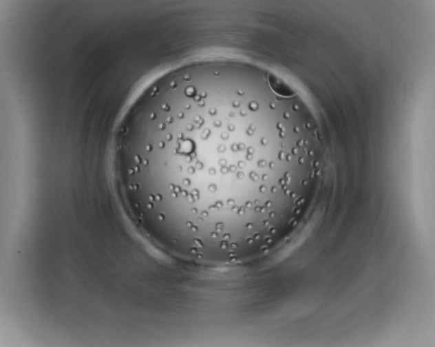 X0000113921390200910011503