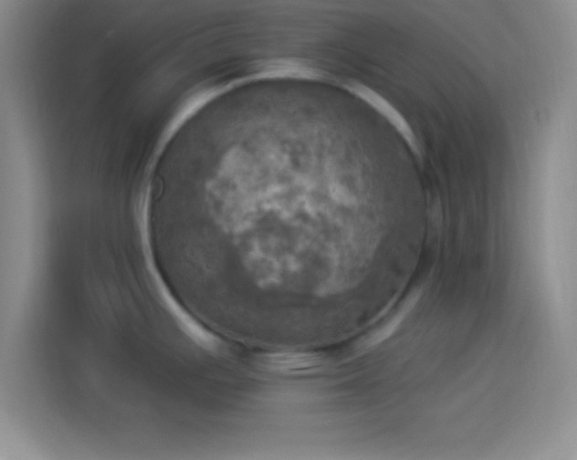 X0000113921391200910011503