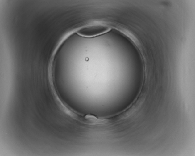 X0000113921392200910011503