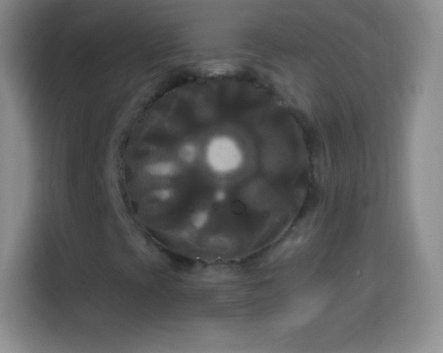 X0000113921393200910011502