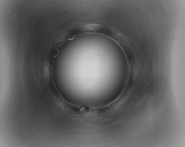 X0000113921394200910011503