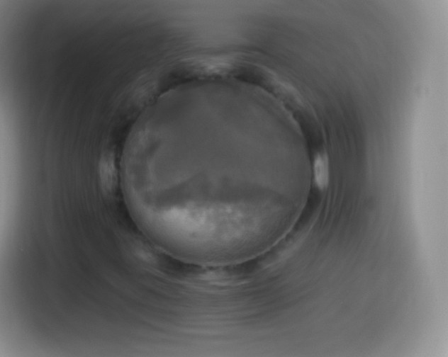 X0000113921395200910011503