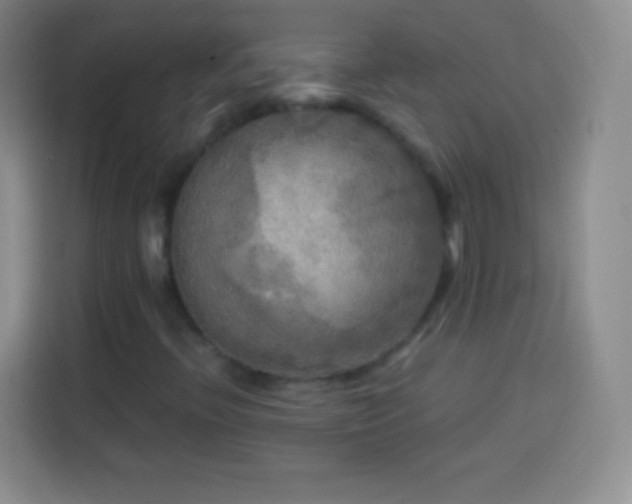 X0000113921396200910011503