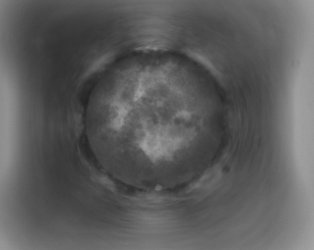 X0000113921399200910011503