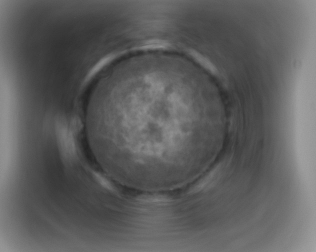 X0000113921400200910011503