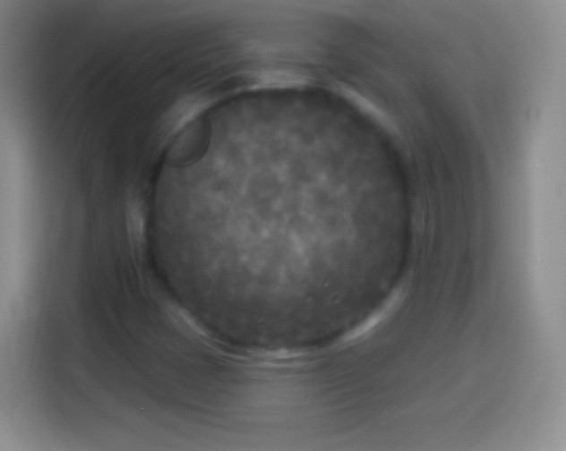 X0000113921401200910011503