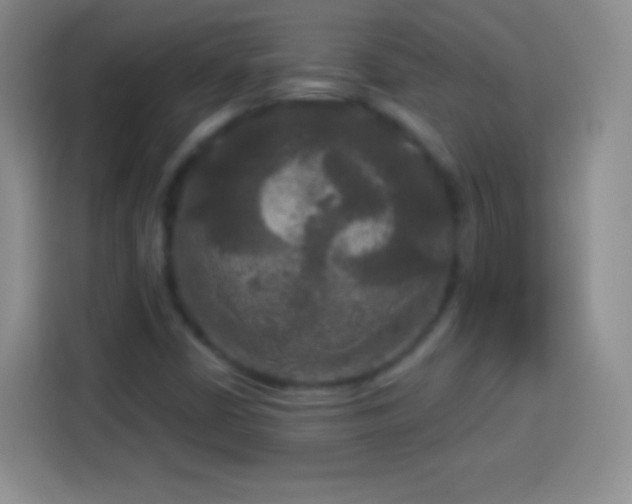 X0000113921402200910011503