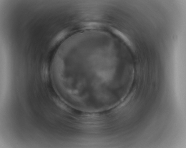 X0000113921403200910011503