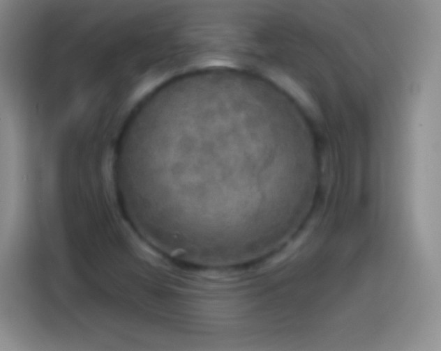 X0000113921404200910011503