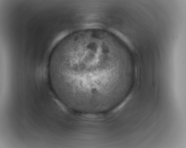 X0000113921405200910011503