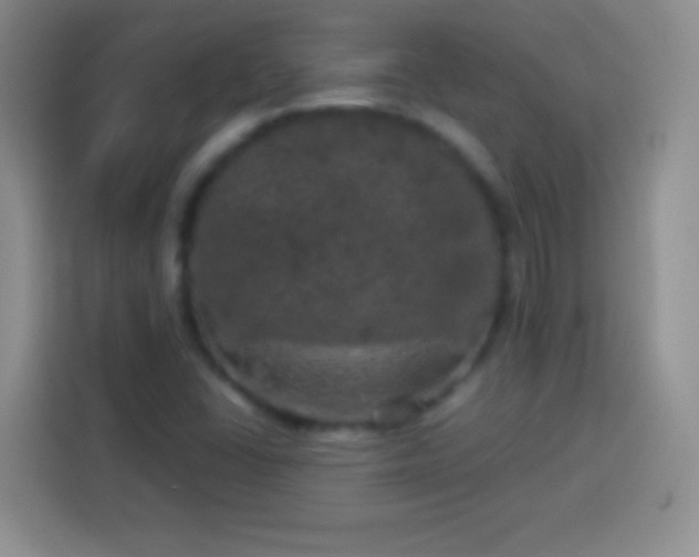 X0000113921406200910011503