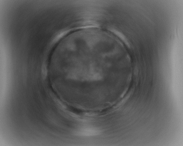 X0000113921407200910011503