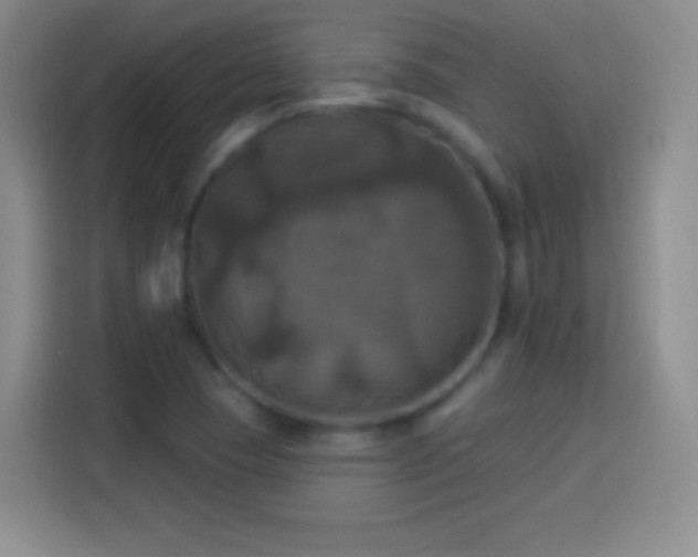 X0000113921409200910011503