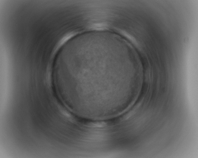 X0000113921410200910011503