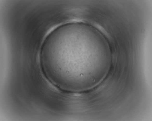 X0000113921412200910011503