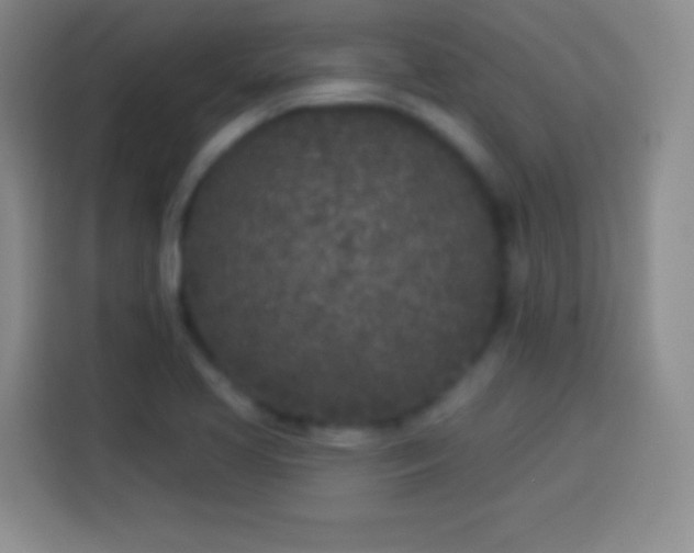 X0000113921413200910011503