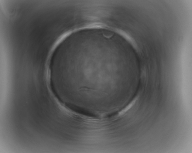 X0000113921414200910011503