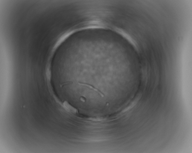 X0000113921415200910011503