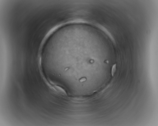 X0000113921416200910011503