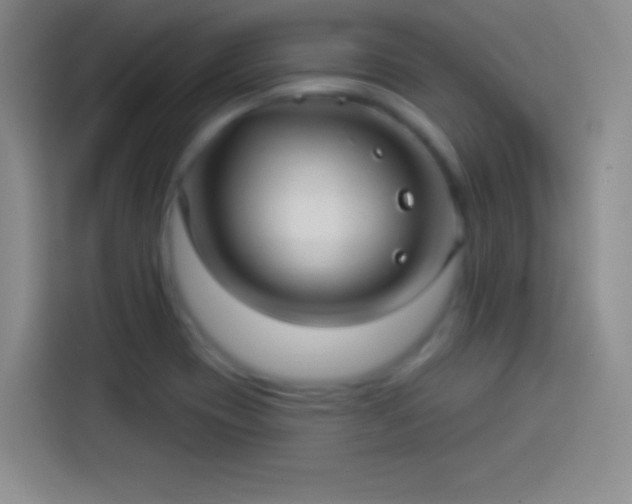 X0000113921417200910011503