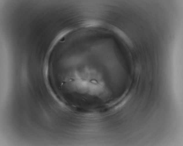 X0000113921418200910011503