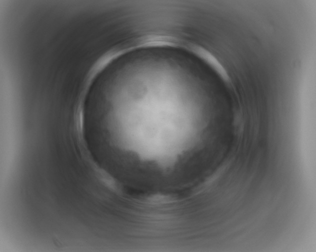 X0000113921419200910011503