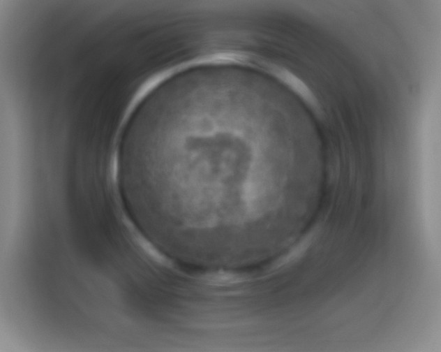 X0000113921420200910011503