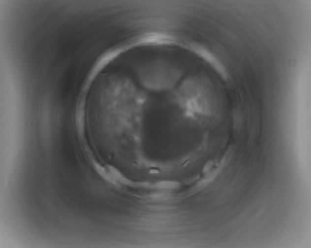 X0000113921421200910011503