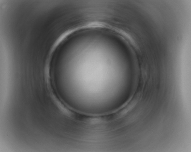 X0000113921422200910011503