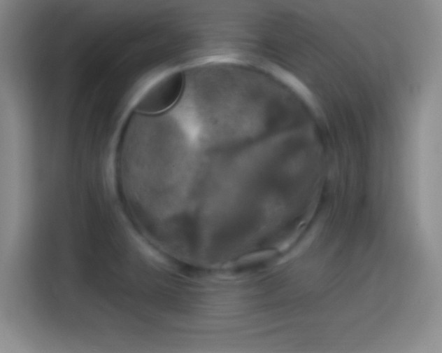 X0000113921423200910011503