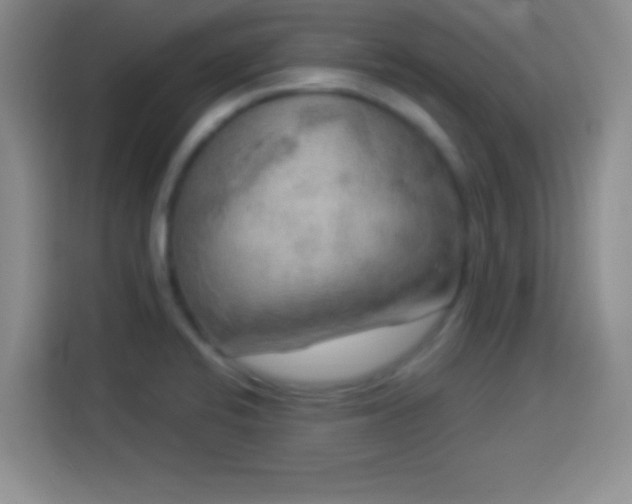 X0000113921424200910011503