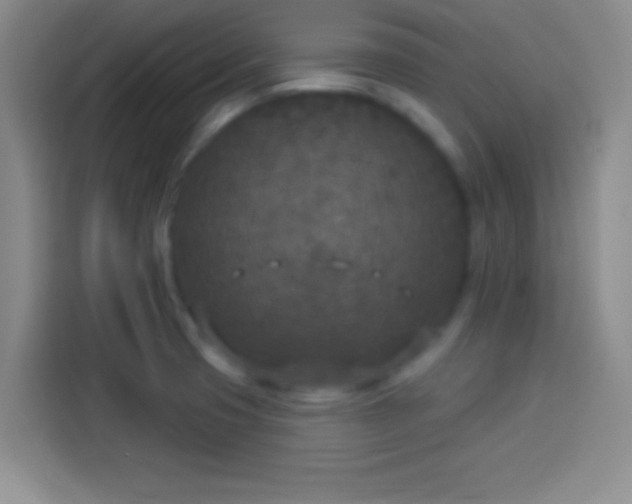 X0000113921425200910011503