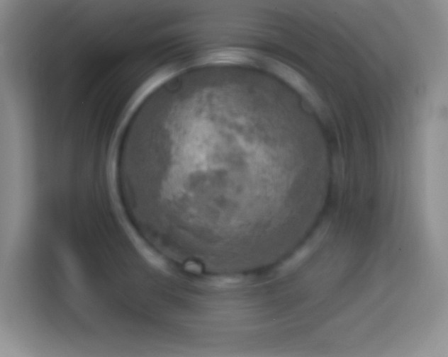 X0000113921426200910011503