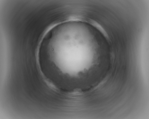 X0000113921427200910011503