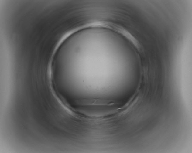 X0000113921428200910011503