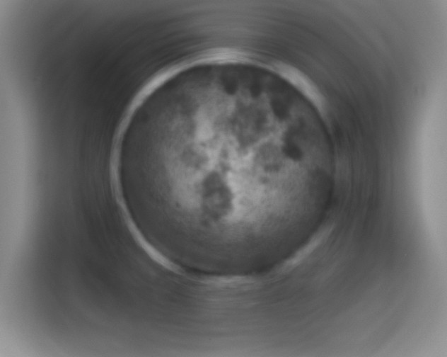 X0000113921429200910011503