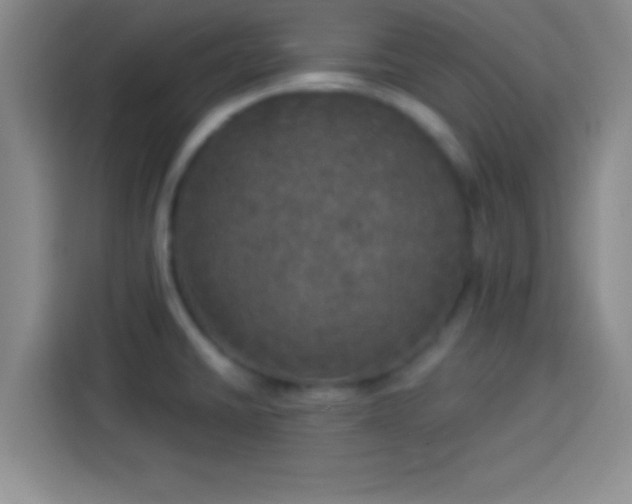 X0000113921430200910011503