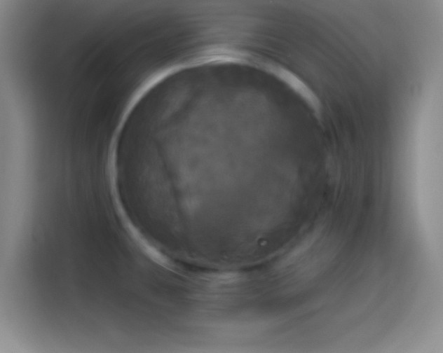 X0000113921431200910011503