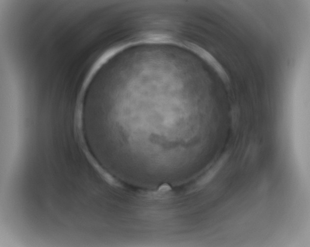 X0000113921432200910011503