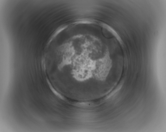 X0000113921433200910011503