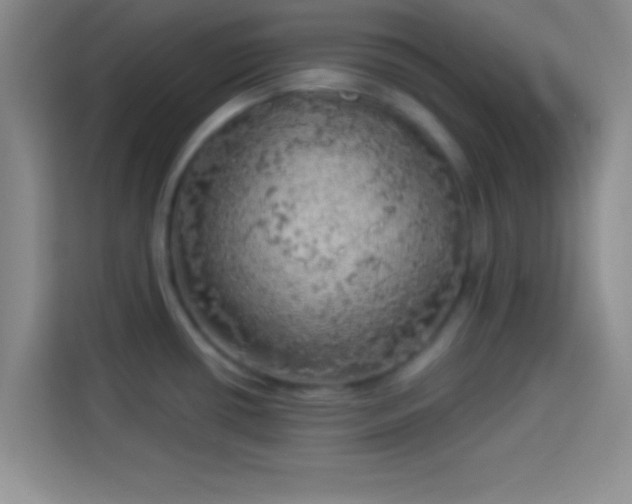 X0000113921434200910011503