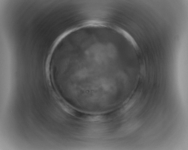 X0000113921435200910011503