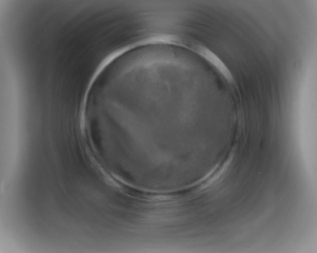 X0000113921436200910011503