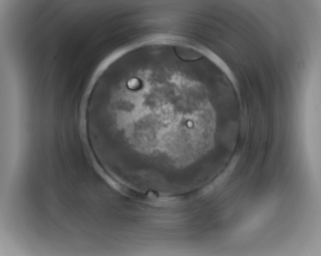 X0000113921437200910011503