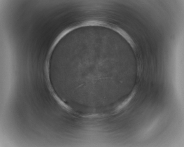 X0000113921438200910011503