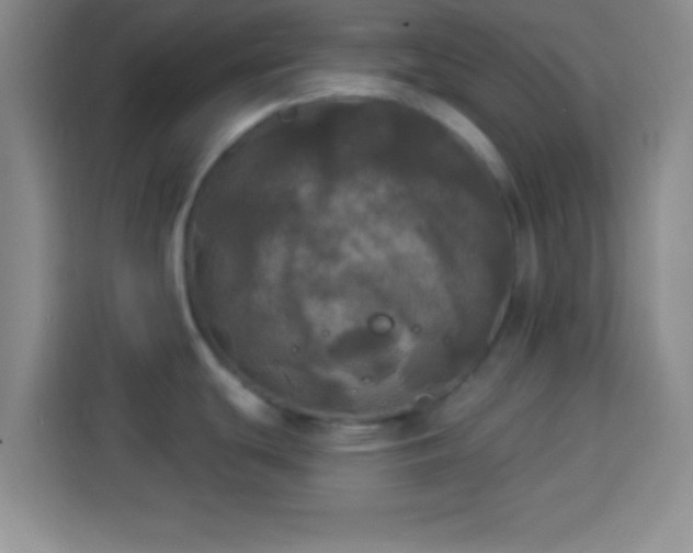 X0000113921439200910011503