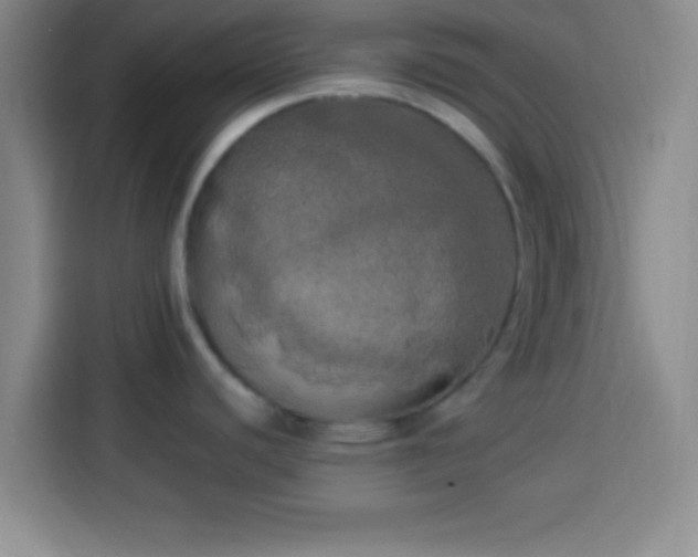 X0000113921440200910011503